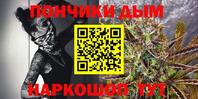 шишки Сланцы