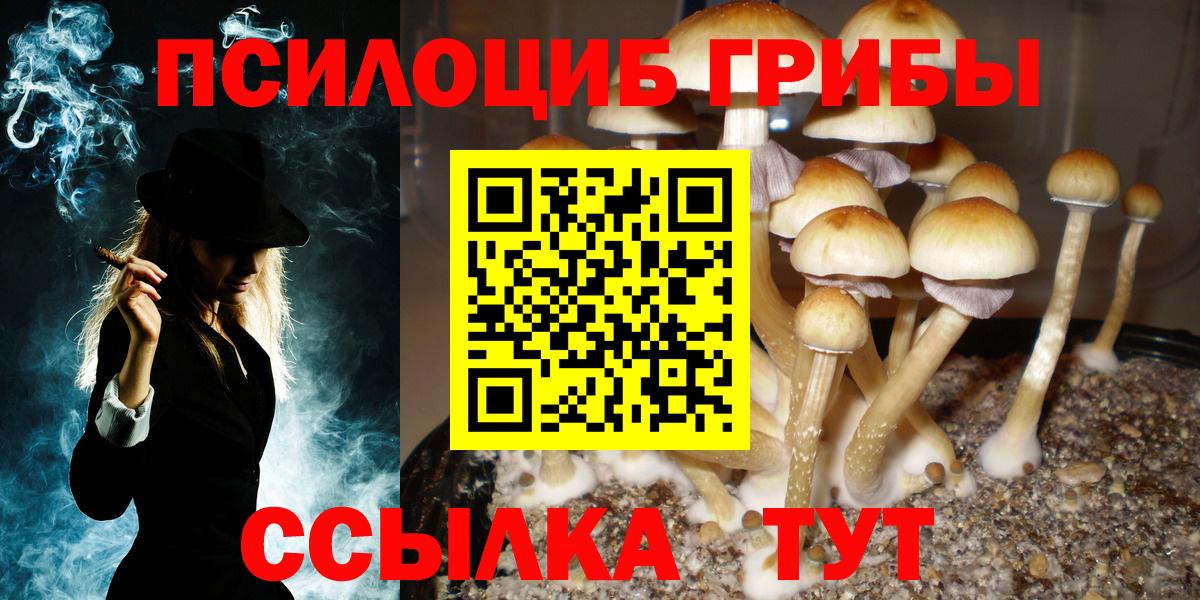 Галлюциногенные грибы GOLDEN TEACHER  Вход с VPN  Новотроицк 