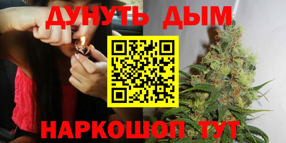 Бошки Шишки семена Новотроицк